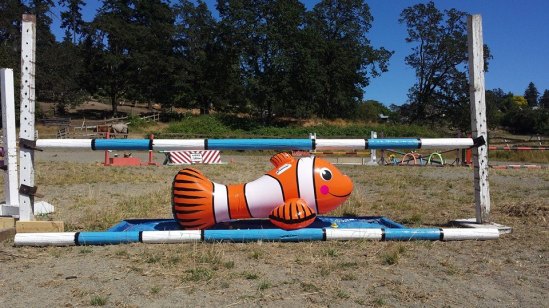 Official beginning of summer: Nemo makes a reappearance! 